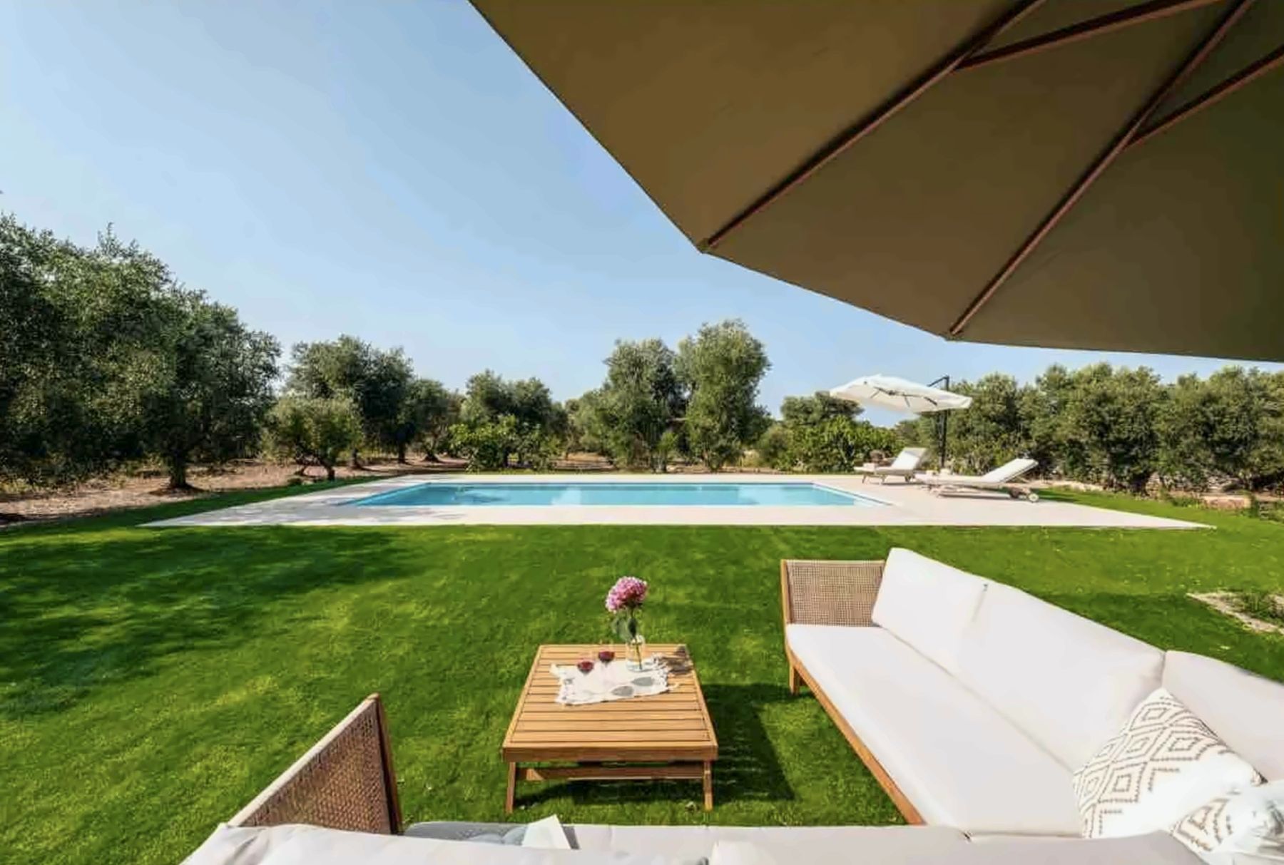 Pool and lounge among the olive trees at Trullo Fedele Grande